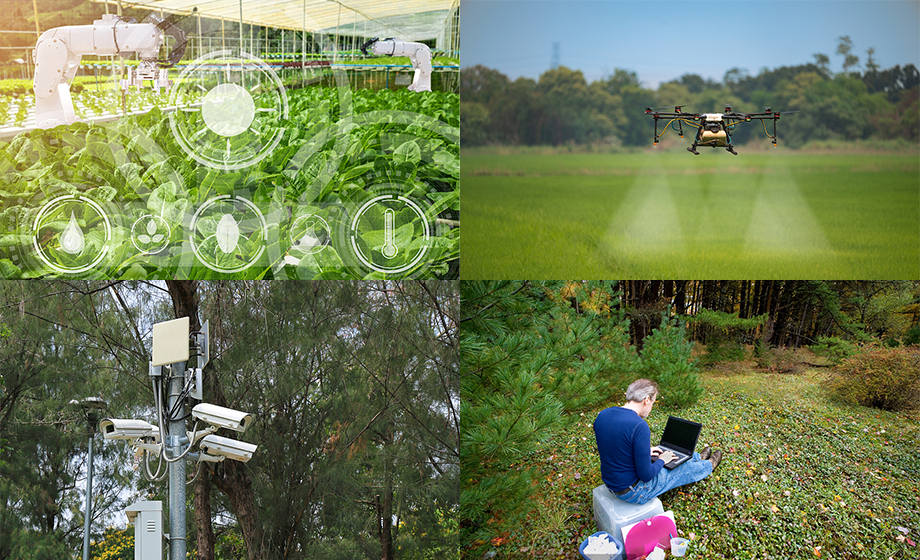 遠(yuǎn)距離傳輸wifi模塊數(shù)據(jù)傳輸農(nóng)田/森林無線自組網(wǎng)應(yīng)用